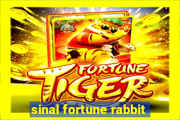 sinal fortune rabbit